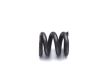 Track Rod End Spring - T35-T37-T40